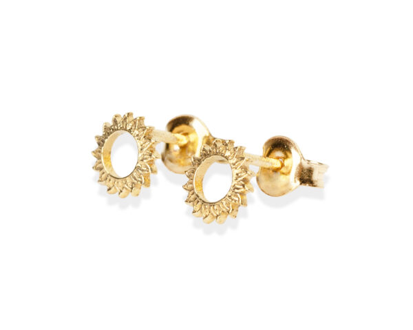 Clous d’oreilles Shine Bright